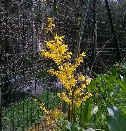 Ca Du Ciccu